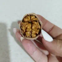 گردو|خوردنی و آشامیدنی|خرمدشت, |دیوار