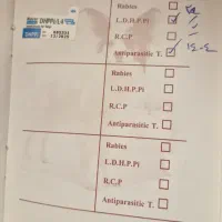 سگ فروشی|سگ|نیشابور, مدرس|دیوار