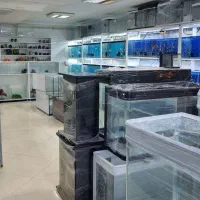 انواع ماهی و لوازم آکواریوم|ماهی|بابل, |دیوار