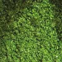 سبزی و هویج خورد شده