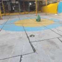 کفتر گرفتنی از رو بلندی جفت ۱ تومن