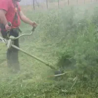 علفتراشی و حرس علفهای حرض باغ و مزارع|خدمات باغبانی و درختکاری|لنگرود, |دیوار