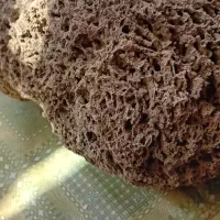 سنگ تزئینی|ماهی|مشهد, طلاب|دیوار