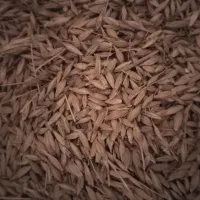 جو کیسه ای|لوازم جانبی حیوانات|گمیشان, |دیوار