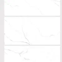 کاشی سرامیک شصت در120