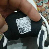 کفش سالن اورجینال|کیف، کفش، کمربند|مشهد, شهید رضوی|دیوار