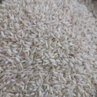 برنج عنبر بوی خوزستان