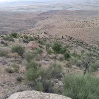 ملک (جبل) در برگبافی
