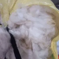 پشم گوسفنی اعلا