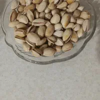 پسته اکبری امسالی