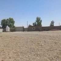 گاوداری5000متری فول امکانات|فروش دفتر صنعتی، کشاورزی، تجاری|رفسنجان, |دیوار