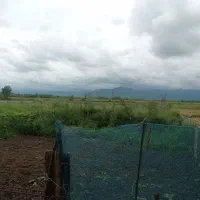 500متر زمین  با کاربری مسکونی ویوی کوه|فروش زمین و ملک کلنگی|طاهرگوراب, |دیوار