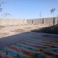 11قصب-زمین-کشاورزی