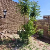 اجاره ویلایی دربست|اجارهٔ کوتاه‌مدت آپارتمان و سوئیت|شاهرود, |دیوار