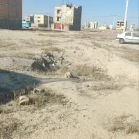 فروش زمین به متراژ ۲۰۰ متر مربع|فروش زمین و ملک کلنگی|رباطکریم, شترخوار|دیوار