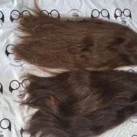 خریدار موی طبیعی بالای 50 سانت به بالاترین قیمت