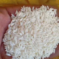 برنج عنبر خوزستان به شرط