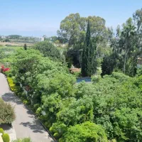 اجاره واحد آپارتمانی مبله ۱ ماه بدون پرداخت ودیعه