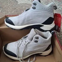 کفش هامتو|کیف، کفش، کمربند|کاشان, فاز ۲ ناجی آباد|دیوار