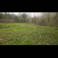 اجاره زمین باغی برای گلکاری و پرورش گل