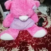 خرس صورتی سالم وتمیز