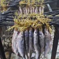 انواع ماهی دودی شمال|خوردنی و آشامیدنی|خلخال, |دیوار