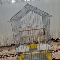 عروس هلندی همراه با قفس|پرنده|بجنورد, |دیوار