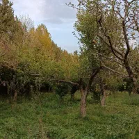 فروش-باغ-7140-متر
