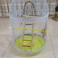 قفس