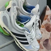 کتونی آدیداس اصل