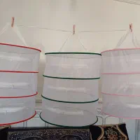 توری میوه و سبزی خشک کن