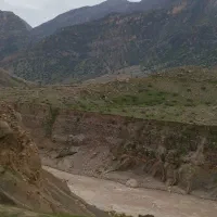 گوسفند سالی(توضیحات مطالعه شود)