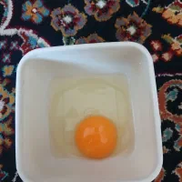 تخم مرغ محلی|عمده‌فروشی|تربت جام, نظامی|دیوار