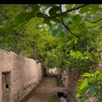 همسفر بوشهر