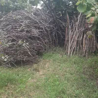 هیزم خشک برای بخاری و شومینه دو نیسان|بخاری، هیتر، شومینه|تالش, جوکندان|دیوار