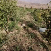 باغچه|فروش دفتر صنعتی، کشاورزی، تجاری|قم, زاویه|دیوار