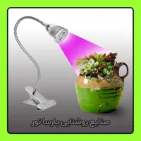 تولید لامپ ۳ وات فول اسپکتروم / هالوژن رشد گیاه|گل و گیاه طبیعی|مشهد, سناباد|دیوار