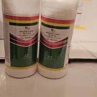 یک خانم گیاه پزشکی مجوز داشته باشد