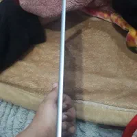 تبلت آیپد|تبلت|بوشهر, |دیوار