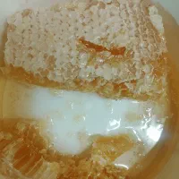 عسل گل طبیعی اردبیل