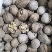 گردو درجه یک