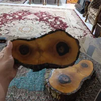 شلف دیواری طرح تنه درخت (کنده درخت )رزین شده|کتابخانه، شلف، قفسههای دیواری|فردیس, شهرک شهید حسینی|دیوار