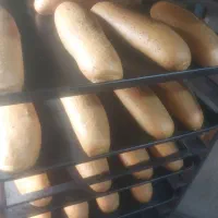 شاطر فانتزی