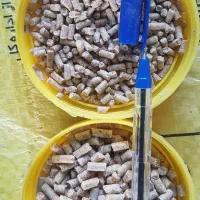 خوراک ماهی کپور