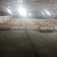 مرغداری ۴۰هزارتایی|فروش دفتر صنعتی، کشاورزی، تجاری|ابهر, |دیوار