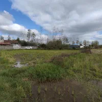 زمین شالیزار