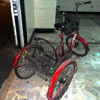 سه‌چرخ‌بزرگسال‌دنده‌ای