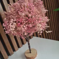 درختچه تزیینی