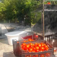 ابگیری گوجه و انگور درب منزل|خدمات پذیرایی، مراسم|همدان, |دیوار