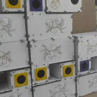 لانه گرینچیک